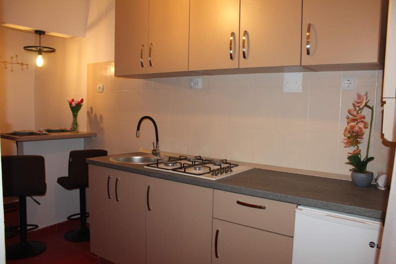 Apartament Dania & Petru Apartman Aknavásár Kültér fotó