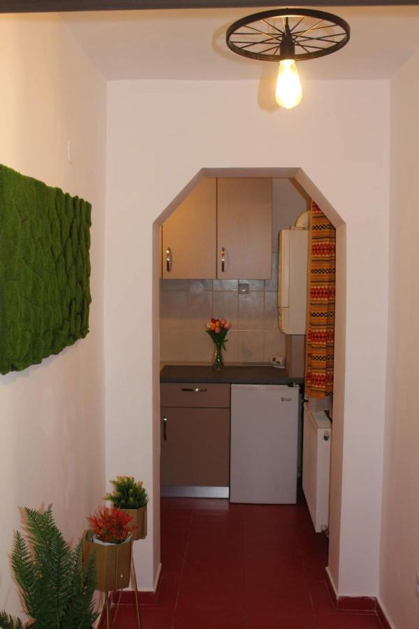 Apartament Dania & Petru Apartman Aknavásár Kültér fotó