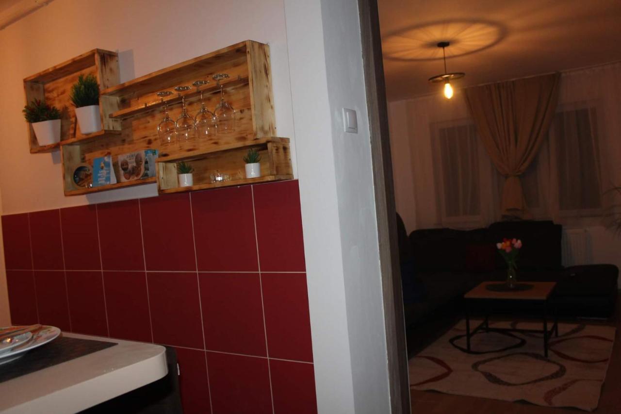 Apartament Dania & Petru Apartman Aknavásár Kültér fotó