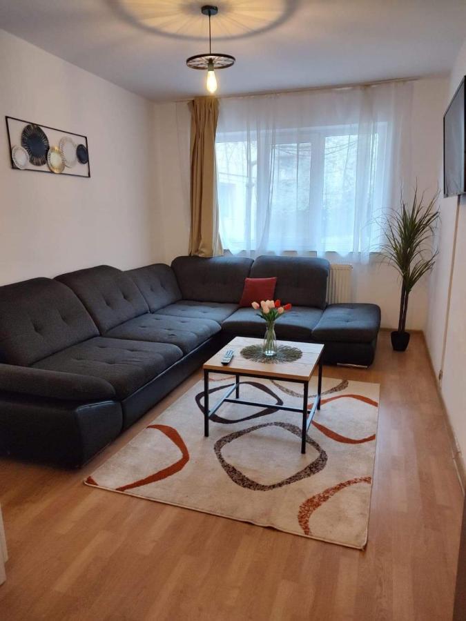 Apartament Dania & Petru Apartman Aknavásár Kültér fotó